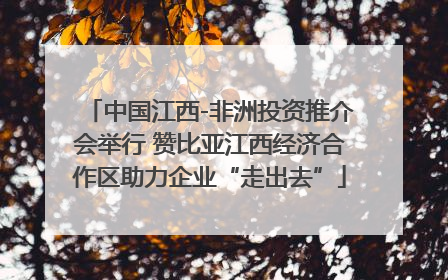 中国江西-非洲投资推介会举行 赞比亚江西经济合作区助力企业“走出去”