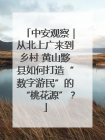 中安观察｜从北上广来到乡村 黄山黟县如何打造“数字游民”的“桃花源”？