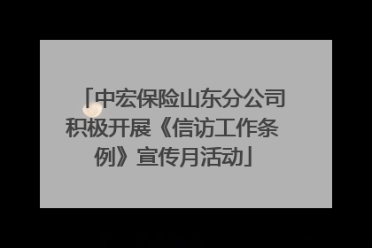 中宏保险山东分公司积极开展《信访工作条例》宣传月活动