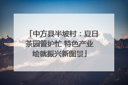 中方县半坡村：夏日茶园管护忙 特色产业绘就振兴新图景