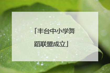 丰台中小学舞蹈联盟成立