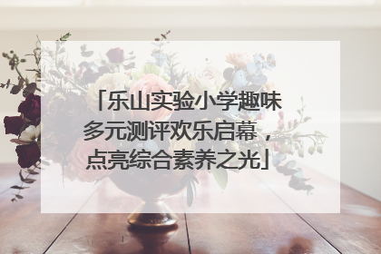 乐山实验小学趣味多元测评欢乐启幕，点亮综合素养之光