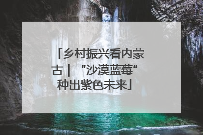 乡村振兴看内蒙古｜“沙漠蓝莓”种出紫色未来