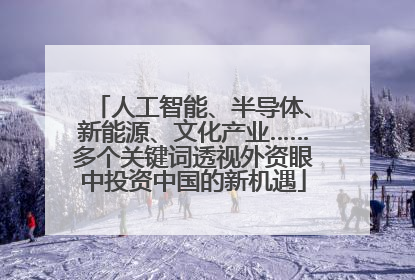 人工智能、半导体、新能源、文化产业……多个关键词透视外资眼中投资中国的新机遇