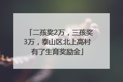 二孩奖2万，三孩奖3万，泰山区北上高村有了生育奖励金