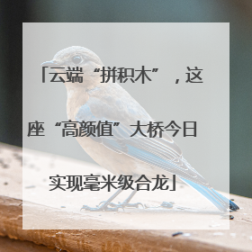 云端“拼积木”，这座“高颜值”大桥今日实现毫米级合龙