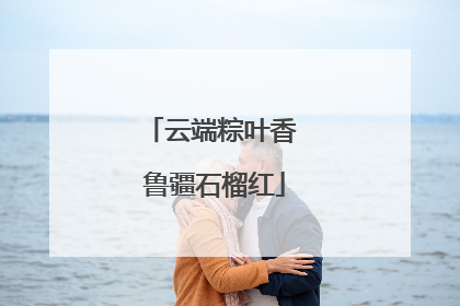 云端粽叶香 鲁疆石榴红