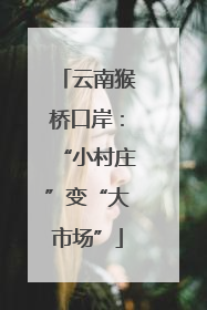 云南猴桥口岸：“小村庄”变“大市场”