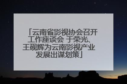 云南省影视协会召开工作座谈会 于荣光、王砚辉为云南影视产业发展出谋划策
