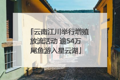 云南江川举行增殖放流活动 逾54万尾鱼游入星云湖