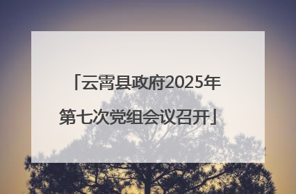 云霄县政府2025年第七次党组会议召开