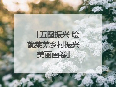 五图振兴 绘就莱芜乡村振兴美丽画卷