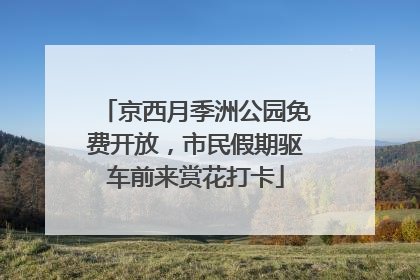 京西月季洲公园免费开放，市民假期驱车前来赏花打卡