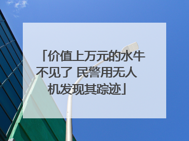 价值上万元的水牛不见了 民警用无人机发现其踪迹
