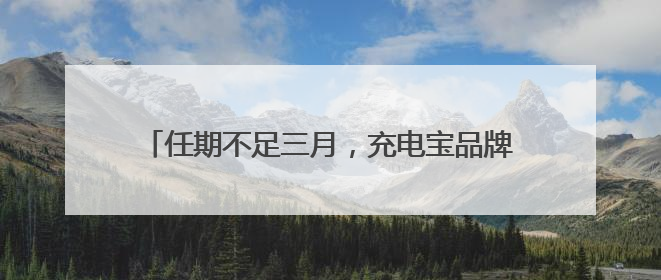任期不足三月，充电宝品牌罗马仕法定代表人再变更