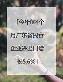今年前4个月广东省民营企业进出口增长5.6%