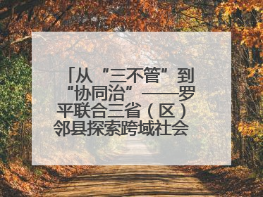 从“三不管”到“协同治”——罗平联合三省（区）邻县探索跨域社会治理新模式