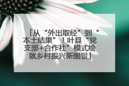 从“外出取经”到“本土结果”！叶县“党支部+合作社”模式绘就乡村振兴新图景