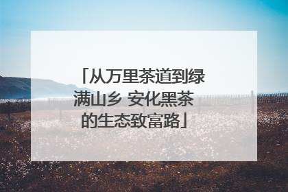 从万里茶道到绿满山乡 安化黑茶的生态致富路