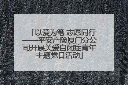 以爱为笔 志愿同行——平安产险厦门分公司开展关爱自闭症青年主题党日活动