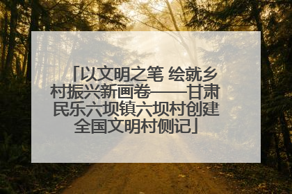 以文明之笔 绘就乡村振兴新画卷——甘肃民乐六坝镇六坝村创建全国文明村侧记