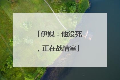 伊媒：他没死，正在战情室