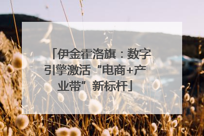 伊金霍洛旗：数字引擎激活“电商+产业带”新标杆