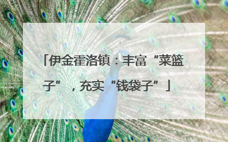 伊金霍洛镇:丰富“菜篮子”,充实“钱袋子”