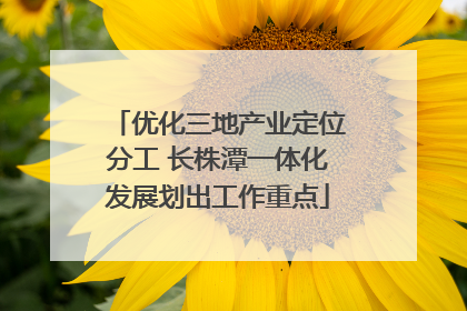 优化三地产业定位分工 长株潭一体化发展划出工作重点