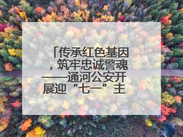 传承红色基因，筑牢忠诚警魂——通河公安开展迎“七一”主题党日活动