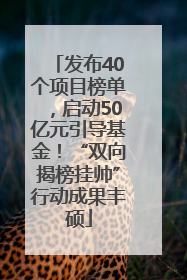 发布40个项目榜单，启动50亿元引导基金！“双向揭榜挂帅”行动成果丰硕