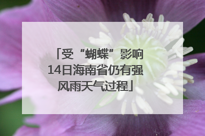 受“蝴蝶”影响 14日海南省仍有强风雨天气过程