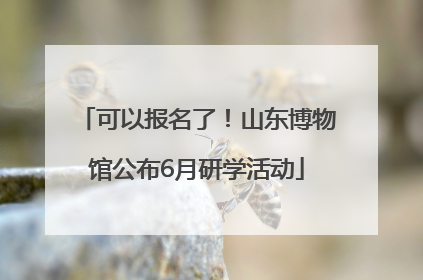 可以报名了！山东博物馆公布6月研学活动
