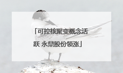 可控核聚变概念活跃 永鼎股份领涨