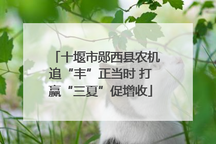 十堰市郧西县农机追“丰”正当时 打赢“三夏”促增收