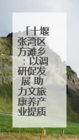 十堰张湾区方滩乡：以调研促发展 助力文旅康养产业提质增效