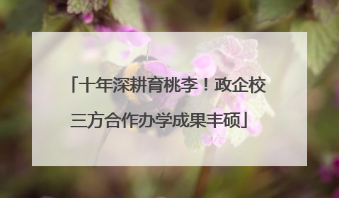 十年深耕育桃李！政企校三方合作办学成果丰硕