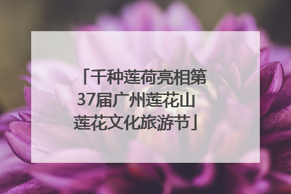 千种莲荷亮相第37届广州莲花山莲花文化旅游节