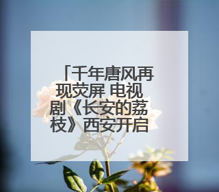 千年唐风再现荧屏 电视剧《长安的荔枝》西安开启首场观影