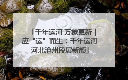 千年运河 万象更新｜应“运”而生：千年运河河北沧州段展新颜