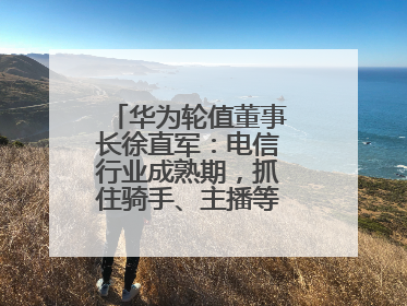 华为轮值董事长徐直军：电信行业成熟期，抓住骑手、主播等成长型需求