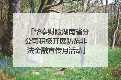 华泰财险湖南省分公司积极开展防范非法金融宣传月活动