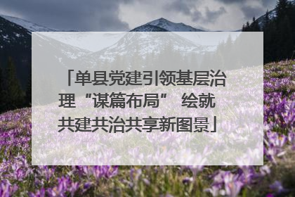 单县党建引领基层治理“谋篇布局” 绘就共建共治共享新图景