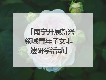 南宁开展新兴领域青年子女非遗研学活动