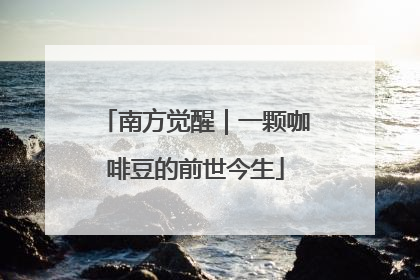 南方觉醒｜一颗咖啡豆的前世今生