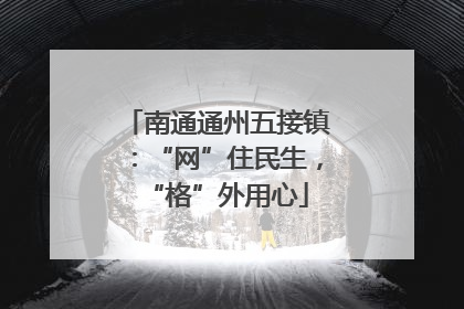 南通通州五接镇：“网”住民生，“格”外用心