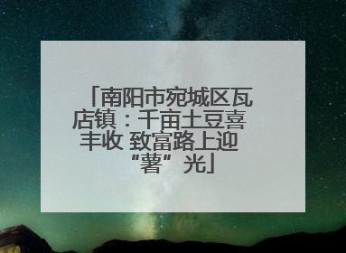 南阳市宛城区瓦店镇：千亩土豆喜丰收 致富路上迎“薯”光
