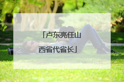 卢东亮任山西省代省长