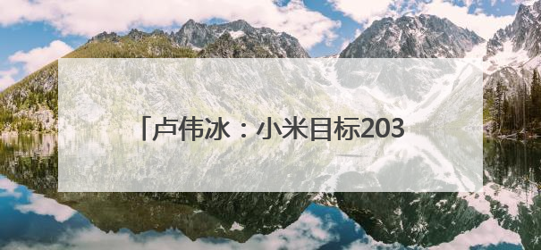 卢伟冰：小米目标2030年成为中国头部家电，非常期待和美的海尔并列