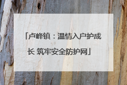 卢峰镇：温情入户护成长 筑牢安全防护网
